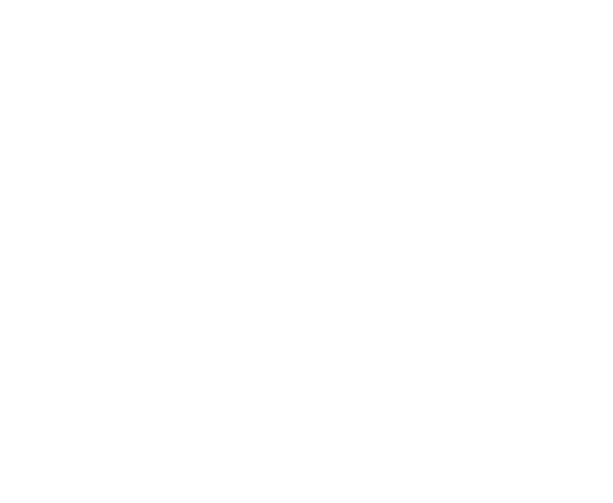 Matercard_Logo_White